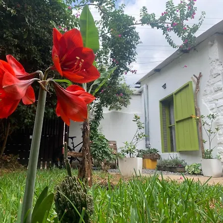 l'Appartamento Nomade San Juan La Laguna Esterno foto
